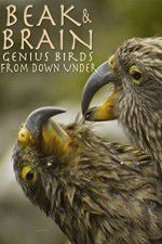 Watch Beak & Brain - Genius Birds from Down Under Afdah