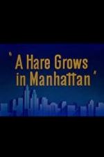 Watch A Hare Grows in Manhattan Afdah