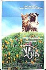 Watch Milo & Otis Afdah