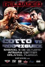 Watch Miguel Cotto vs Delvin Rodriguez Afdah