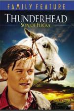 Watch Thunderhead - Son of Flicka Afdah
