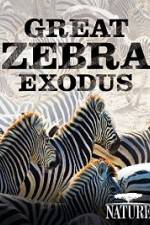 Watch Nature: Great Zebra Exodus Afdah
