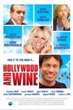 Watch Hollywood & Wine Afdah
