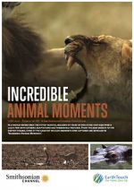 Watch Incredible Animal Moments Afdah