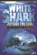 Watch National Geographic white shark:outside the cage Afdah
