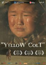 Watch Yellow Colt Afdah