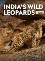 Watch India\'s Wild Leopards (Short 2020) Afdah