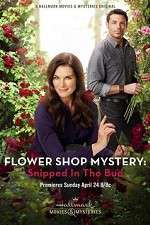 Watch Flower Shop Mystery: Snipped in the Bud Afdah