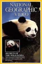 Watch Secrets of the Wild Panda Afdah
