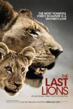 Watch The Last Lions Afdah