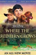 Watch Where the Red Fern Grows Afdah