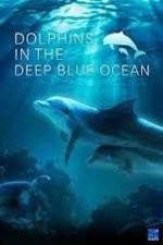 Watch Dolphins in the Deep Blue Ocean Afdah