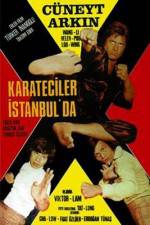 Watch Karate on the Bosphorus Afdah