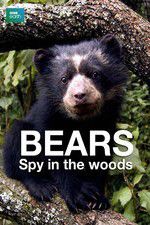 Watch Bears: Spy in the Woods Afdah