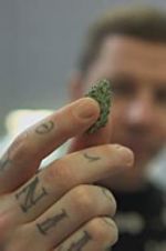 Watch Professor Green: Is It Time to Legalise Weed? Afdah