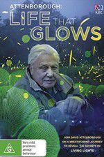 Watch Attenborough\'s Life That Glows Afdah