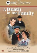 Watch A Death in the Family Afdah