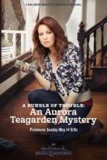 Watch A Bundle of Trouble: An Aurora Teagarden Mystery Afdah