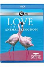 Watch Nature: Love in the Animal Kingdom Afdah