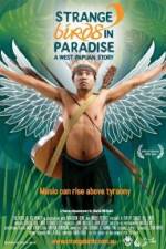 Watch Strange Birds in Paradise A West Papuan Story Afdah