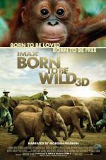 Watch Born to Be Wild Afdah