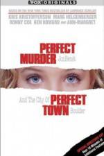 Watch Perfect Murder Perfect Town JonBenet and the City of Boulder Afdah
