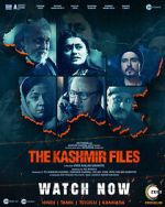 Watch The Kashmir Files Afdah