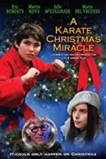 Watch A Karate Christmas Miracle Afdah