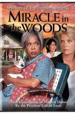 Watch Miracle in the Woods Afdah