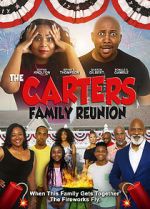Watch Carter Family Reunion Afdah