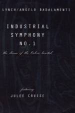 Watch Industrial Symphony No 1 The Dream of the Brokenhearted Afdah