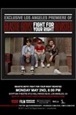 Beastie Boys: Fight for Your Right Revisited afdah