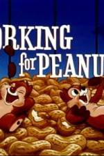 Watch Working For Peanuts Afdah
