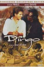 Watch Dingo Afdah