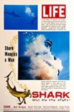 Watch Shark Afdah
