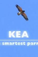 Watch Kea - The Smartest Parrot Afdah
