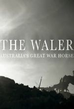 Watch The Waler: Australia\'s Great War Horse Afdah