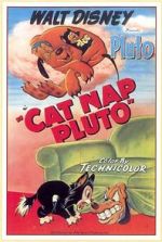 Watch Cat Nap Pluto Afdah