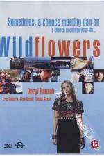 Watch Wildflowers Afdah