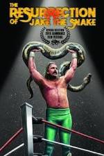 Watch The Resurrection of Jake The Snake Roberts Afdah