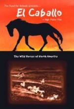 Watch El Caballo: The Wild Horses of North America Afdah