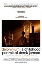 Watch Delphinium: A Childhood Portrait of Derek Jarman Afdah