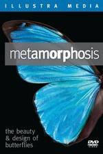 Watch Metamorphosis: The Beauty and Design of Butterflies Afdah