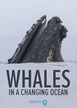 Watch Whales in a Changing Ocean (Short 2021) Online Afdah
