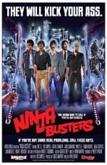 Watch Ninja Busters Afdah