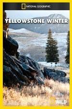Watch National Geographic Yellowstone Winter Afdah