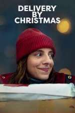 Watch Delivery by Christmas Megashare