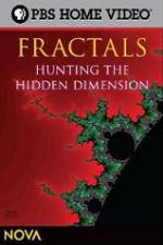 Watch NOVA - Fractals Hunting the Hidden Dimension Afdah