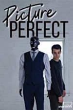 Watch Picture Perfect Afdah