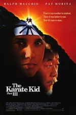 Watch The Karate Kid Part III Afdah